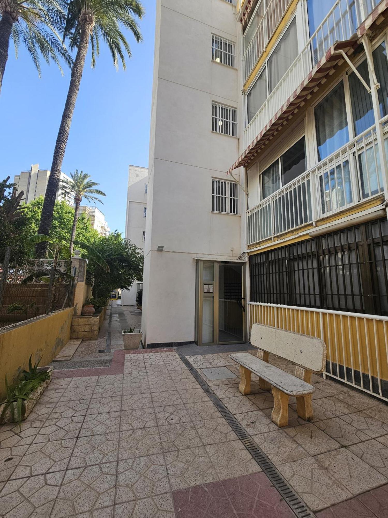 El Junco If Benidorm